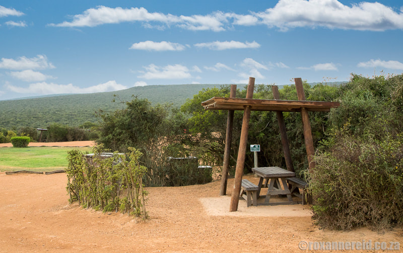 Jack's Picnic Site in a botanical reserve in Addo Elephant Park