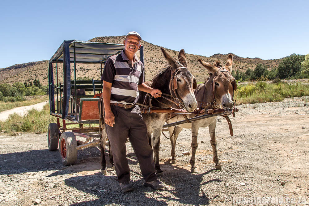 Donkey cart ride around Nieu Bethesda