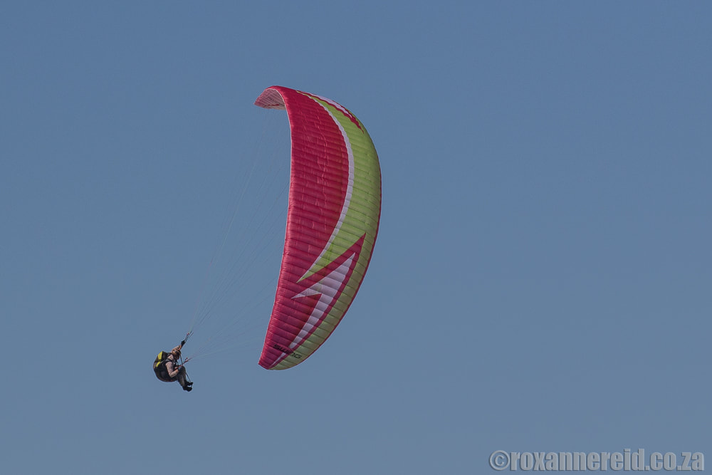 Things to do in Wilderness South Africa: paragliding