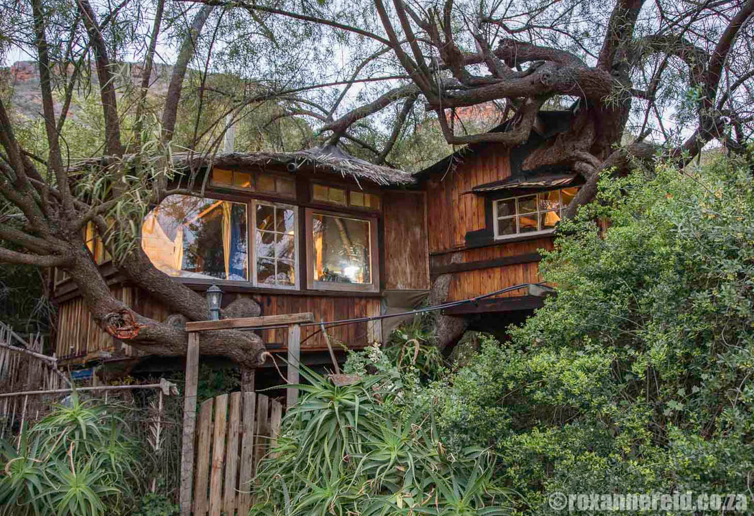 Baviaanskloof accommodation: Speekhout Treehouse