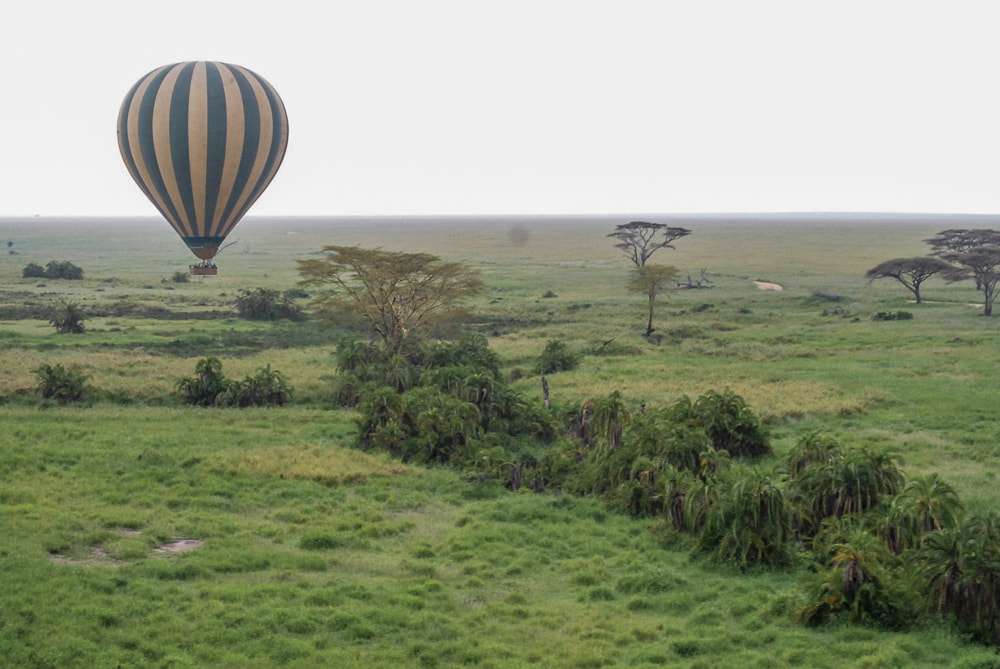 Hot air ballooning over Serengeti National Park, Tanzania