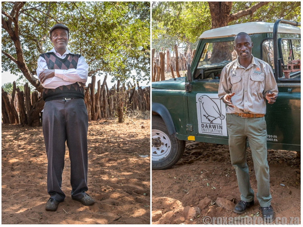 Victoria Falls Wildlife Trust and the Darwin initiative doing good work with community guardians and mbile bomas