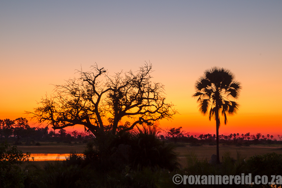 Xigera Camp, Okavango, Botswana