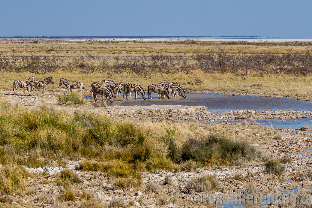 Salvadora and Charitsaub, 12 of the best waterholes at Etosha National Park, Namibia