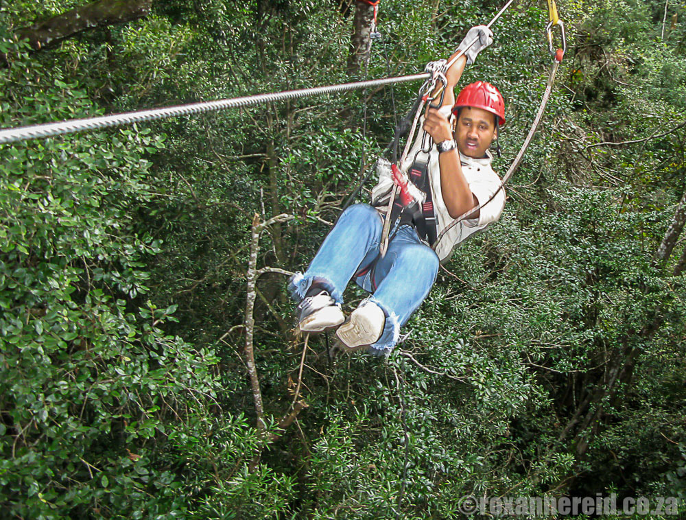 Things to do on the Garden Route - Tsitsikamma Canopy Tour