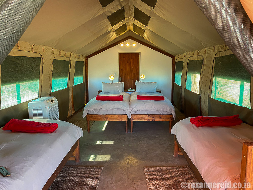 Camping2Go glamping tent, Etosha Safari Lodge