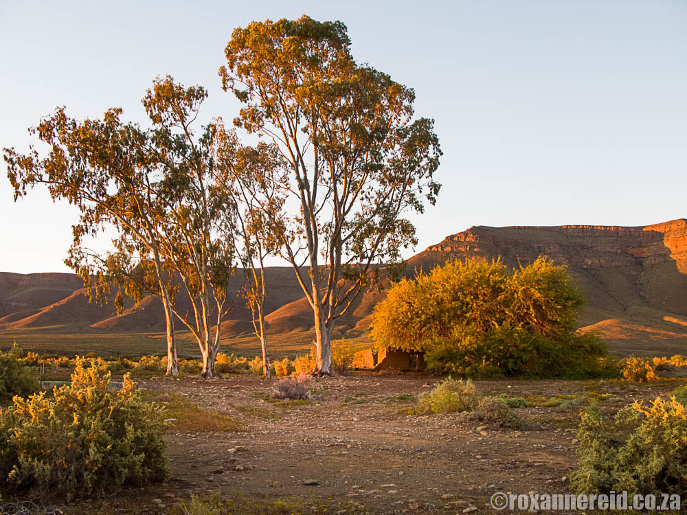 Tankwa Karoo mountains and landscape