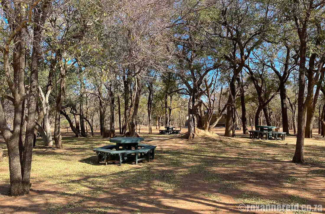 Marakele facilities: picnic site on Tsessebe Loop