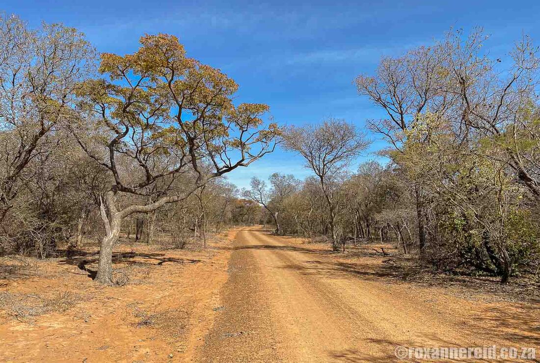 Gravel road in the western section of Marakele National Park