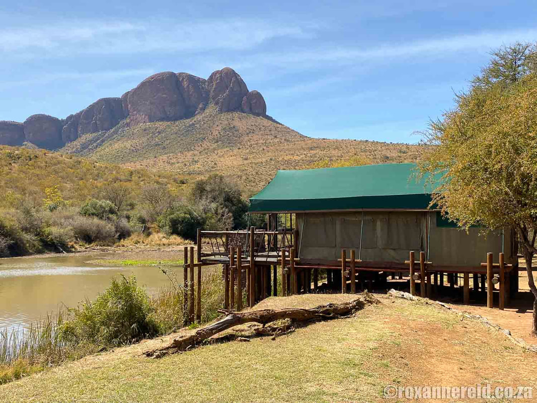 Marakele National Park accommodation: Tlopi Tented Camp