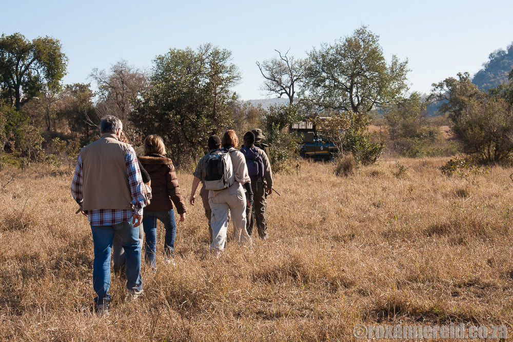 Bush walk at Berg en Dal in Kruger National Park, South Africa