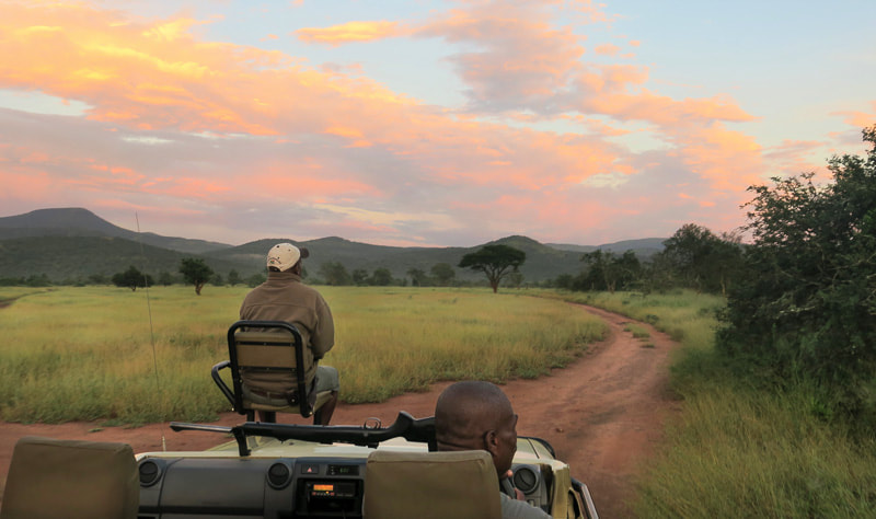 KZN safari at Amakhosi Game Reserve