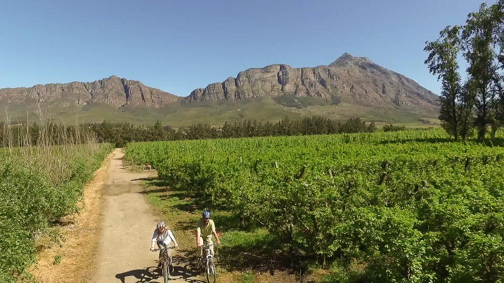 Things to do in Tulbagh: wine tasting on a bike