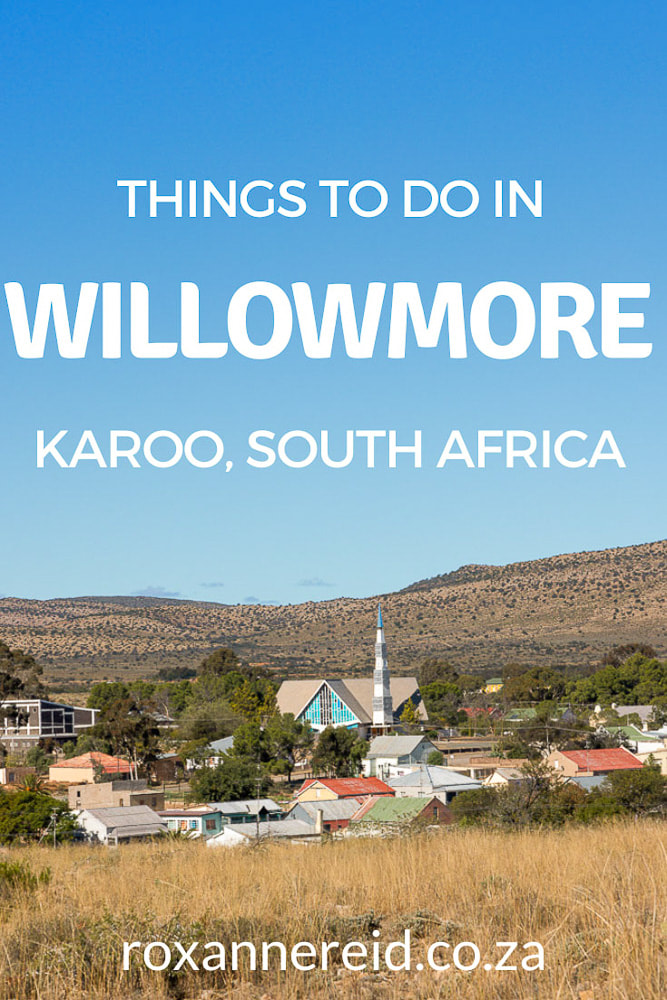 Despite its small size, there are lots of things to do in Willowmore in the Karoo, from hiking, mountain biking and 4x4 trails, to old buildings, graveyards, birding, donkey cart rides and star gazing. There are also 5 Willowmore restaurants worth visiting, and lots of Willowmore accommodation to choose from during your stay. Don’t miss a drive into the Baviaanskloof UNESCO World Heritage Site, to which Willowmore is the western gateway.