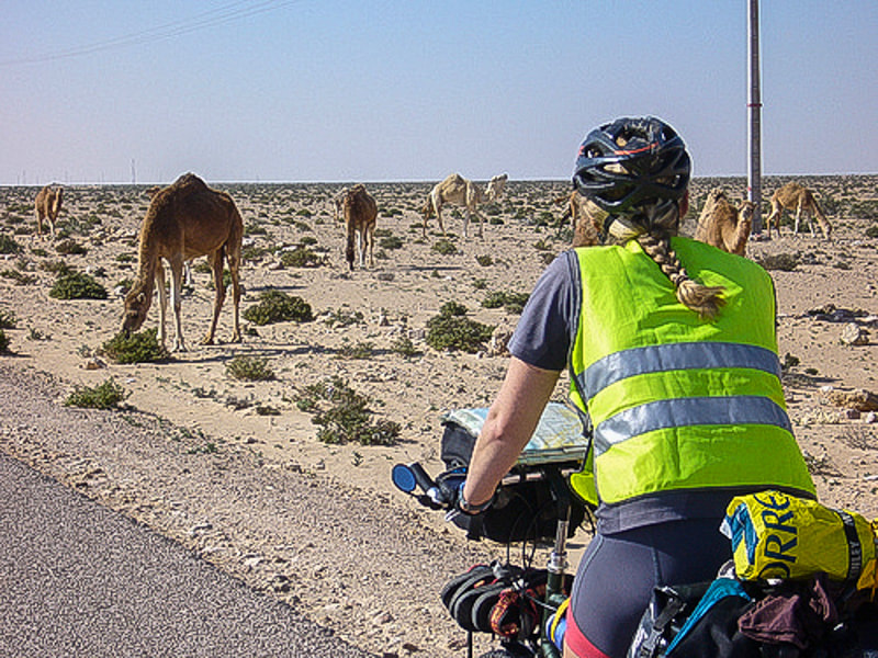 Things to do in Africa: biking in the Western Sahara