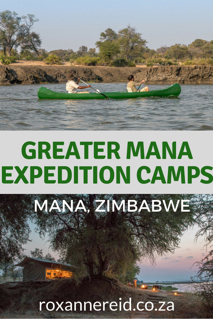 Discover the wilderness on foot, by vehicle and by canoe on Great Plains Conservation’s six-night Greater Mana Expedition in Sapi and Mana Pools Zimbabwe. Explore the three camps where you spend two nights each – the accommodation from tents with a view of the Zambezi River to romantic two-storey skybeds, the views, the professional guides, the food. #SapiConcession #ManaPools #ManapoolsZimbabwe #GreatPlainsZimbabwe #greaterManaExpedition #Zimbabwesafari #Zimbabwe #adventure #safari #wildlife