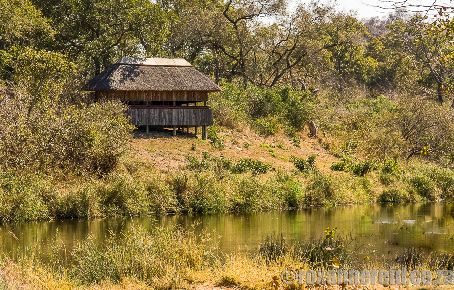 Things to do in Kruger National Park