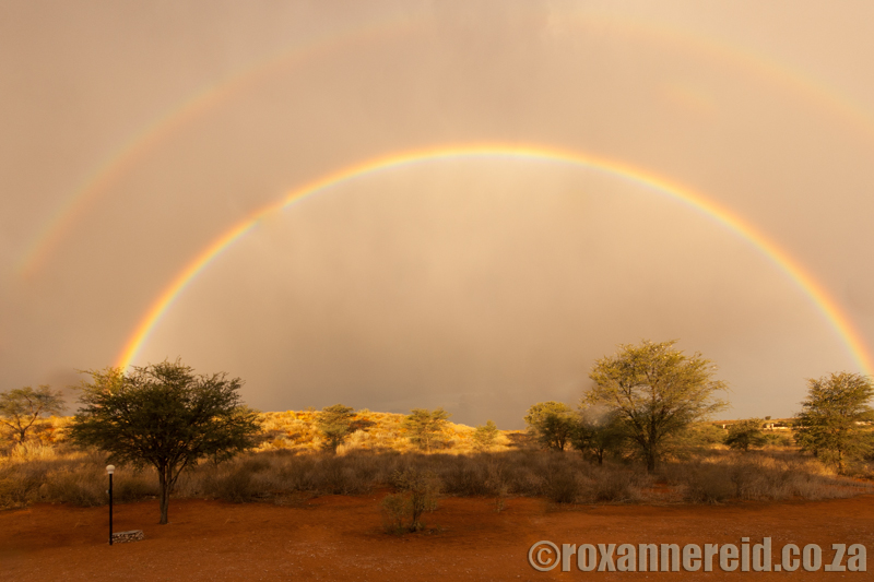 Double rainbow at Twee Rivieren, Kgalagadi Transfrontier Park