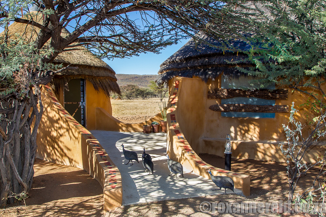 PictureOkonjima Bush Camp, Namibia