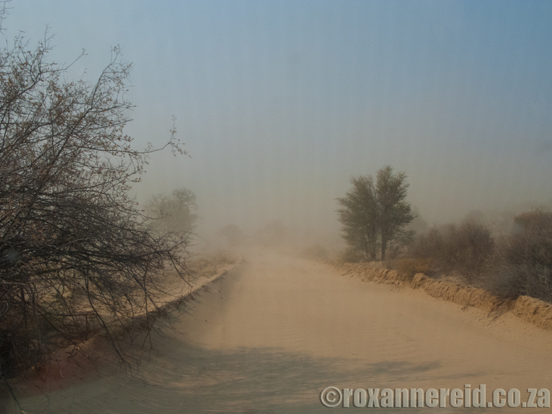 Dust storm, Kgalagadi Transfrontier Park