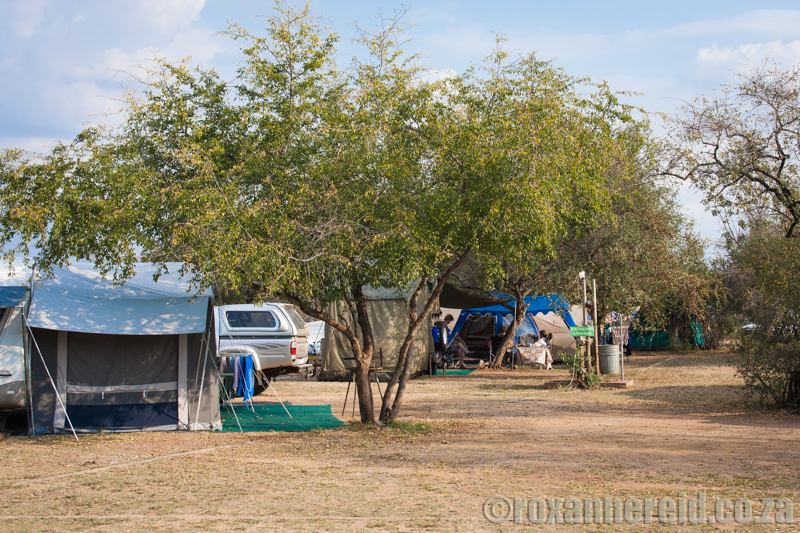 Satara campsite, Kruger National Park