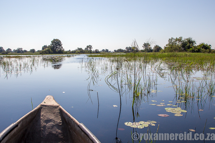 Mokoro, Okavango Delta, Botswana