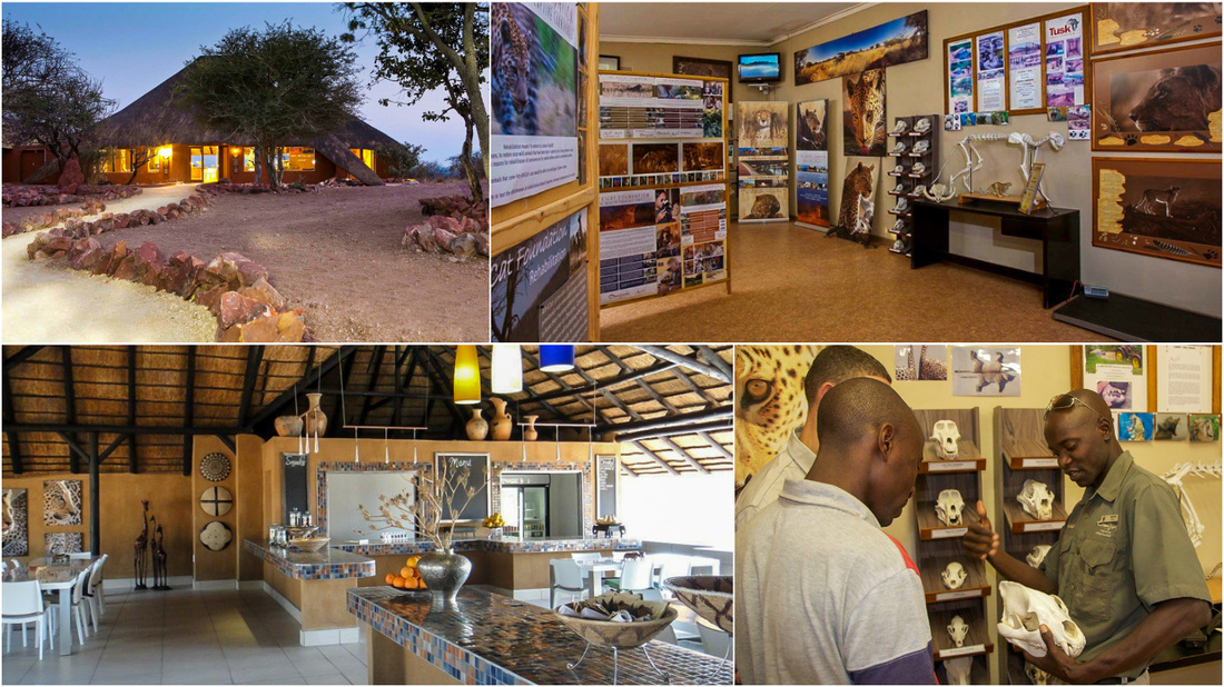 PictureAfriCat Day Centre, Okonjima, Namibia
