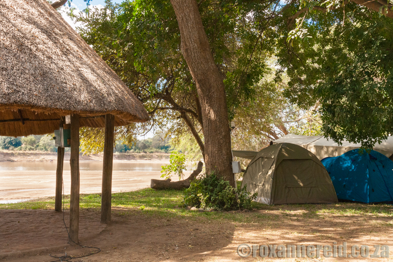 Croc Valley campsite, South Luangwa National Park, Zambia