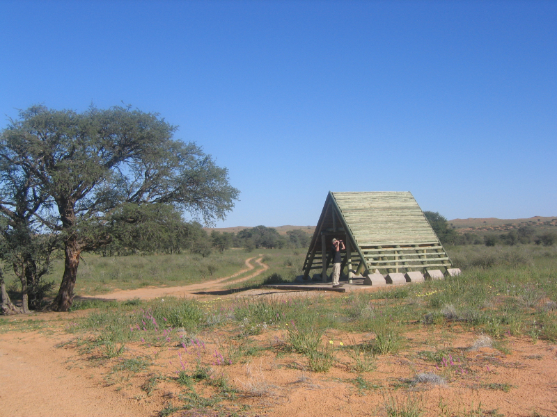 Rooiputs campsite, Kgalagadi Transfrontier Park, Botswana