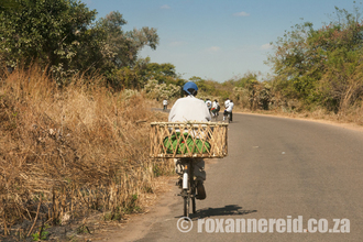 Man on bicycle, Zambia