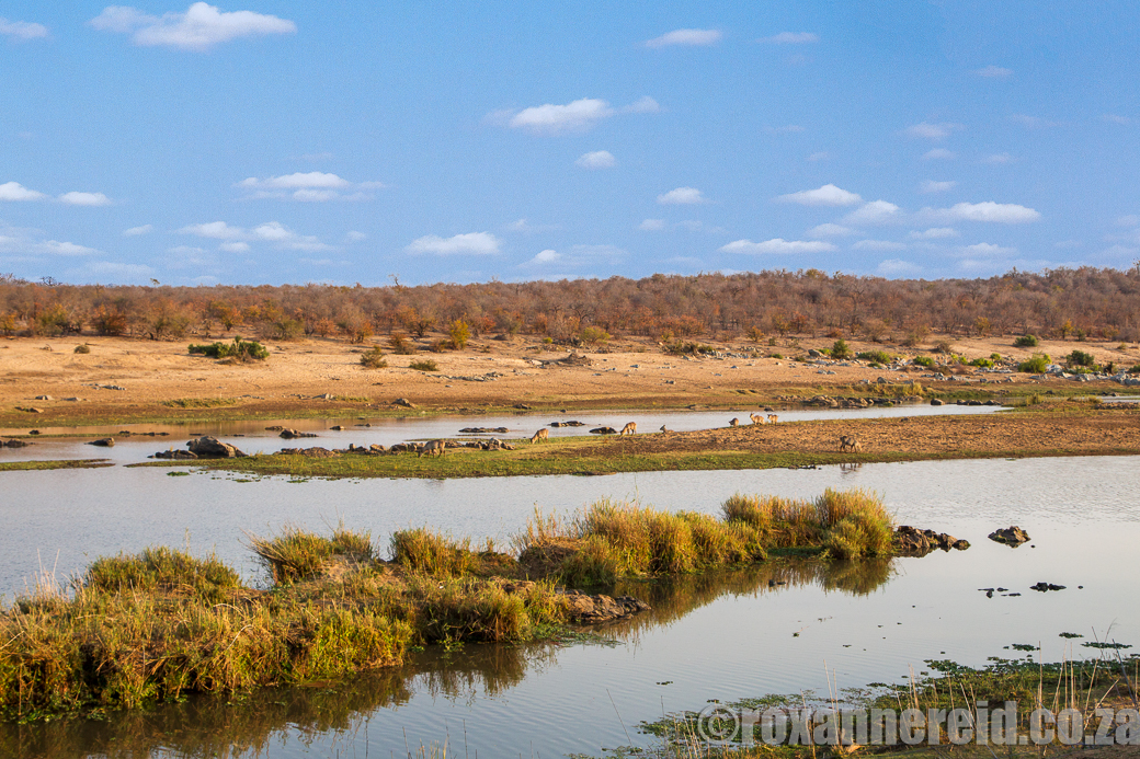 Shimuwini Bush Camp, Kruger National Park