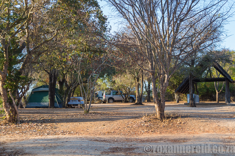 Visiting Kruger’s Maroela camp for the first time