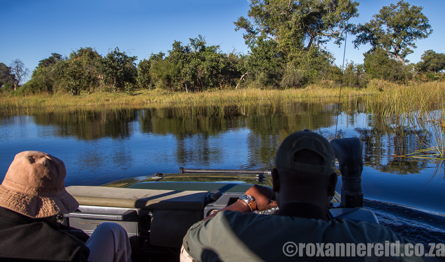 Duba Expedition Camp, Okavango Delta, Botswana