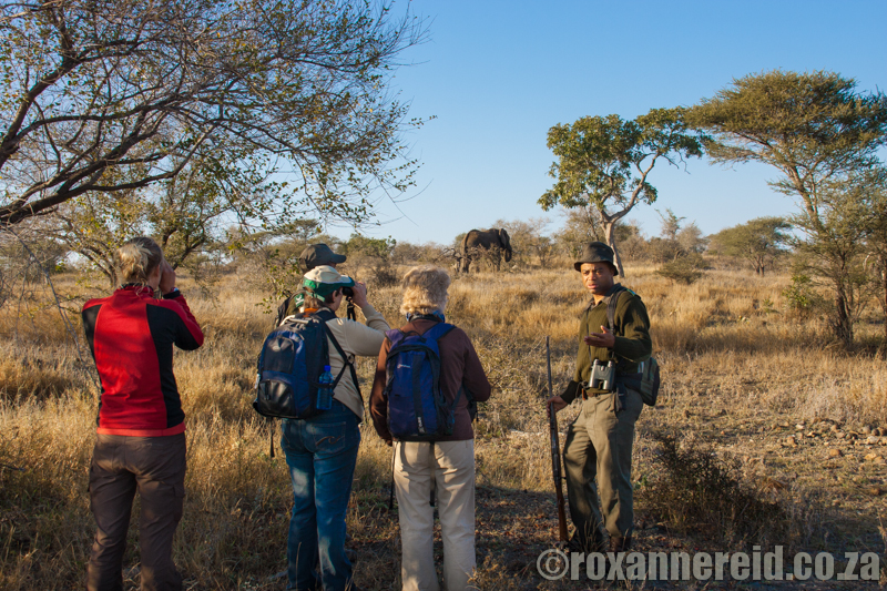7 travel highlights, Kruger National Park