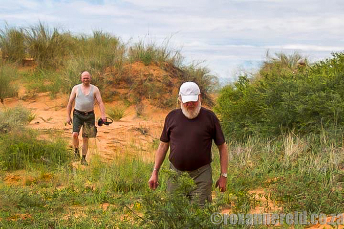 Illegal walking in the dunes, Kgalagadi Transfrontier Park