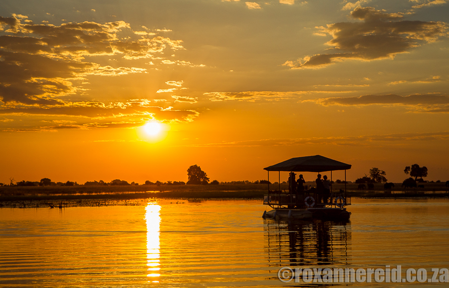 Sunset, Chobe River, Botswana