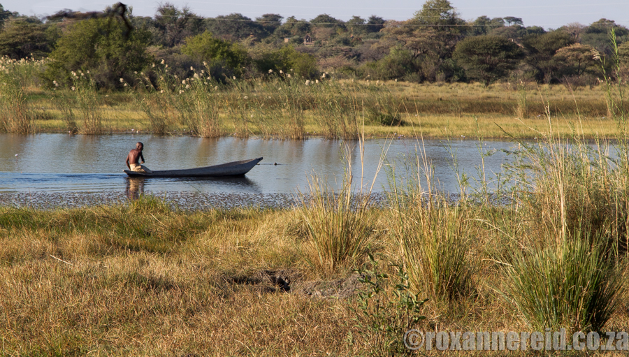Man on mokoro, Zambezi region, Namibia