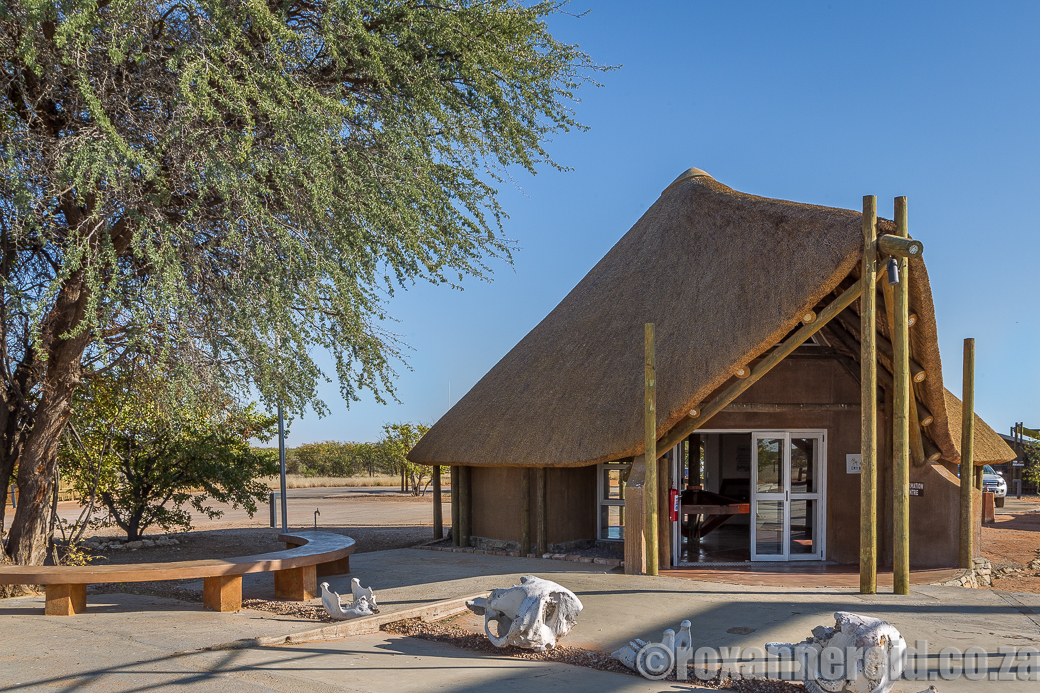 Elephant centre, Olifantsrus Camp, Etosha National Park, camping Namibia