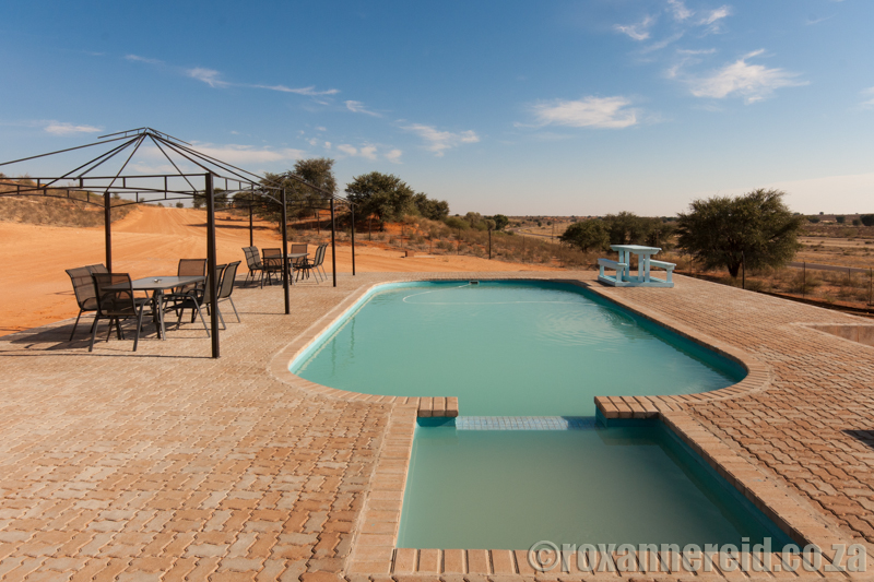 Swimming pool, Kgalagadi Lodge near Twee 