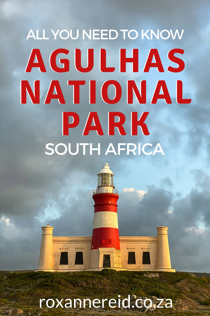 Planning a visit to Agulhas National Park in South Africa? Here’s everything you need to know, from how to get there, best time to visit, Agulhas accommodation and things to do at Cape Agulhas. Visit the Cape Agulhas lighthouse and the Southern tip of Africa monument, see the Meisho Maru wreck, go hiking, bird watching, whale watching and more.
