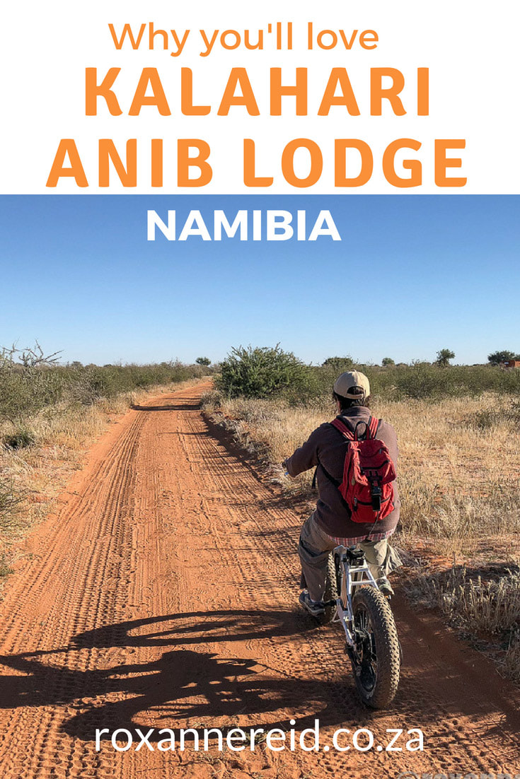 12 things to do at Kalahari Anib Lodge near Mariental in the Kalahari Namibia. Explore this Kalahari accommodation, one of the lodges near Mariental. Find lots to do from stargazing, walking trails, guided walks, guided 4x4 drives and sunset drives to ebiking, swimming, good food and sundowners. Mariental lodge, Namibian holidays, Kalahari activiites, Kalahari lodge, Kalahari Namibia accommodation #Kalahari #Namibia #KalahariNamibia #KalahariAnibLodge