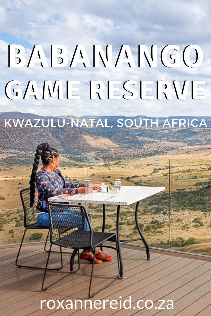 Visiting KwaZulu-Natal and looking for somewhere different? Find out why to visit Babanango Game Reserve in KZN. All about conservation and community, it also has gorgeous lodges like Babanango Zulu Rock and Babanango Valley Lodge. – perfect game lodges KZN. There are lots of things to do, from game drives, nature walks and helicopter flips to horse riding, stargazing and a battlefield tour. Game reserve accommodation KZN.