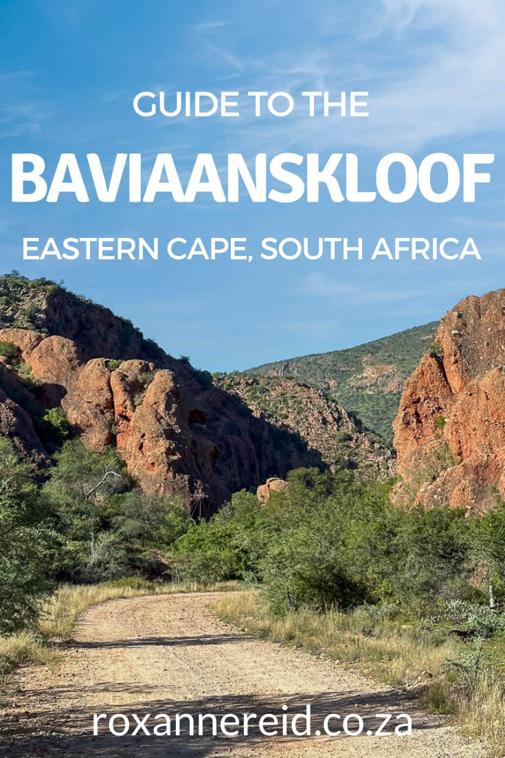 Planning to visit the Baviaanskloof Wilderness Area and UNESCO World Heritage Site in South Africa’s Eastern Cape? Find out everything you need to know in this guide, from things to do in the Baviaanskloof, to wildlife, attractions, roads, river crossings, steep passes and whether you need a 4x4. You’ll find Baviaanskloof accommodation, advice on Baviaanskloof restaurants and coffeeshops, climate, best time to visit the Baviaanskloof