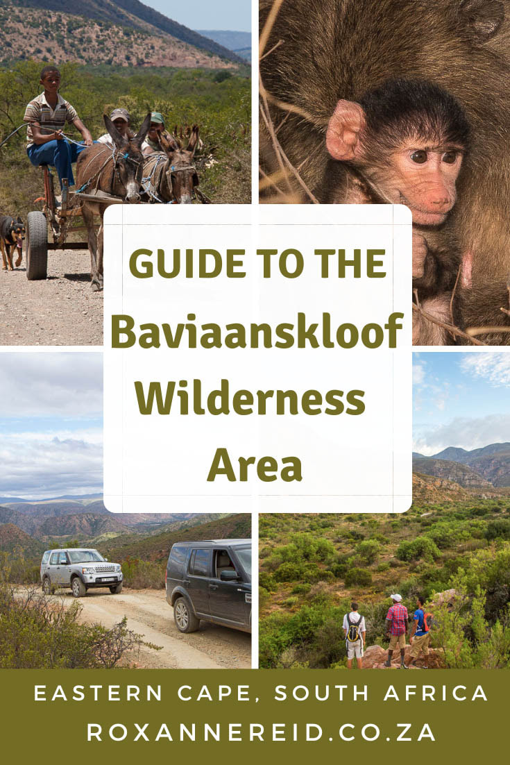 Planning to visit the Baviaanskloof Wilderness Area and UNESCO World Heritage Site in South Africa’s Eastern Cape? Find out everything you need to know in this guide, from things to do in the Baviaanskloof, to wildlife, attractions, roads, river crossings, steep passes and whether you need a 4x4. You’ll find Baviaanskloof accommodation, advice on Baviaanskloof restaurants and coffeeshops, climate, best time to visit the Baviaanskloof