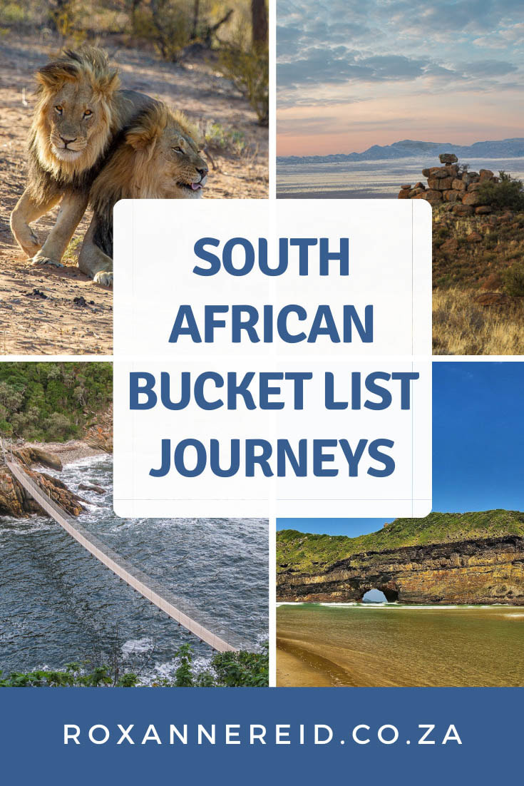 Where are the best South African holiday destinations? Kgalagadi Transfrontier Park, Augrabies Falls and Namaqualand, Cape West Coast, Cape Town, Cape Winelands, Cape Whale Coast, Garden Route, The Wild Coast, Addo Elephant National Park, the Karoo, Drakensberg, Durban and the KwaZulu-Natal Coast, iSimangaliso Wetland Park, Cradle of Humankind, Panorama Route and Kruger National Park.