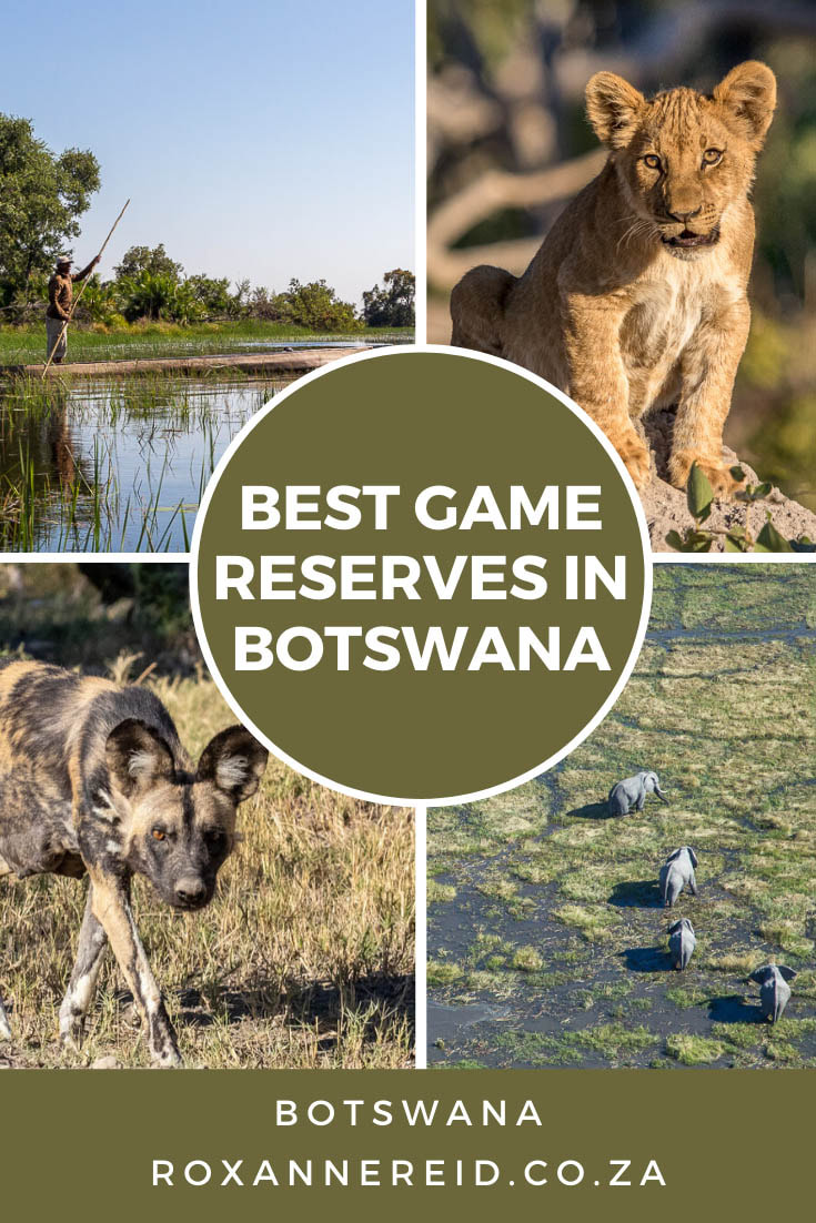 Planning your Botswana holidays? Find out about some of the best Botswana game reserves for a wildlife safari and why they are top Botswana tourist attractions. Think Okavango Delta and Moremi Game Reserve, Chobe National Park (including Savuti and Linyanti), Central Kalahari Game Reserve, Makgadikgadi National Park, Makgadikgadi Salt Pans, Nxai National Park and Kgalagadi Transfrontier Park Botswana.