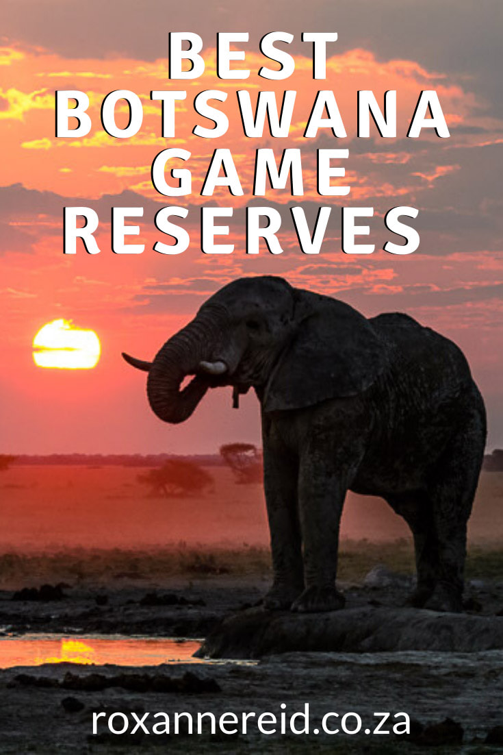 Planning your Botswana holidays? Find out about some of the best Botswana game reserves for a wildlife safari and why they are top Botswana tourist attractions. Think Okavango Delta and Moremi Game Reserve, Chobe National Park (including Savuti and Linyanti), Central Kalahari Game Reserve, Makgadikgadi National Park, Makgadikgadi Salt Pans, Nxai National Park and Kgalagadi Transfrontier Park Botswana.