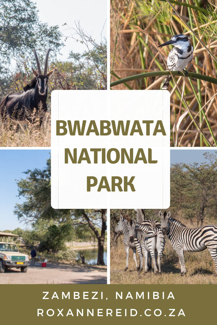 Game drive at Bwabwata National Park, Zambezi, Namibia #Bwabwata #Namibia #Africa