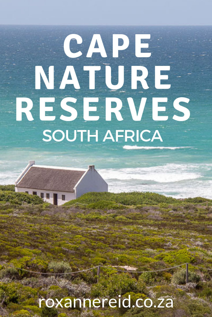 Find out about Cape Nature reserves, Cape Nature accommodation and things to do in some of the best reserves in the Western Cape, South Africa. With strong conservation and ecotourism principles, they include Cederberg Nature Reserve, De Hoop Nature Reserve, Matjiesrivier Nature Reserve, Gamkaberg Nature Reserve, Goukamma Nature Reserve, Kogelberg Nature Reserve, Rocherpan Nature Reserve, Swartberg nature Reserve or Gamkaskloof and Anysberg Nature Reserve. #CapeNature #nature