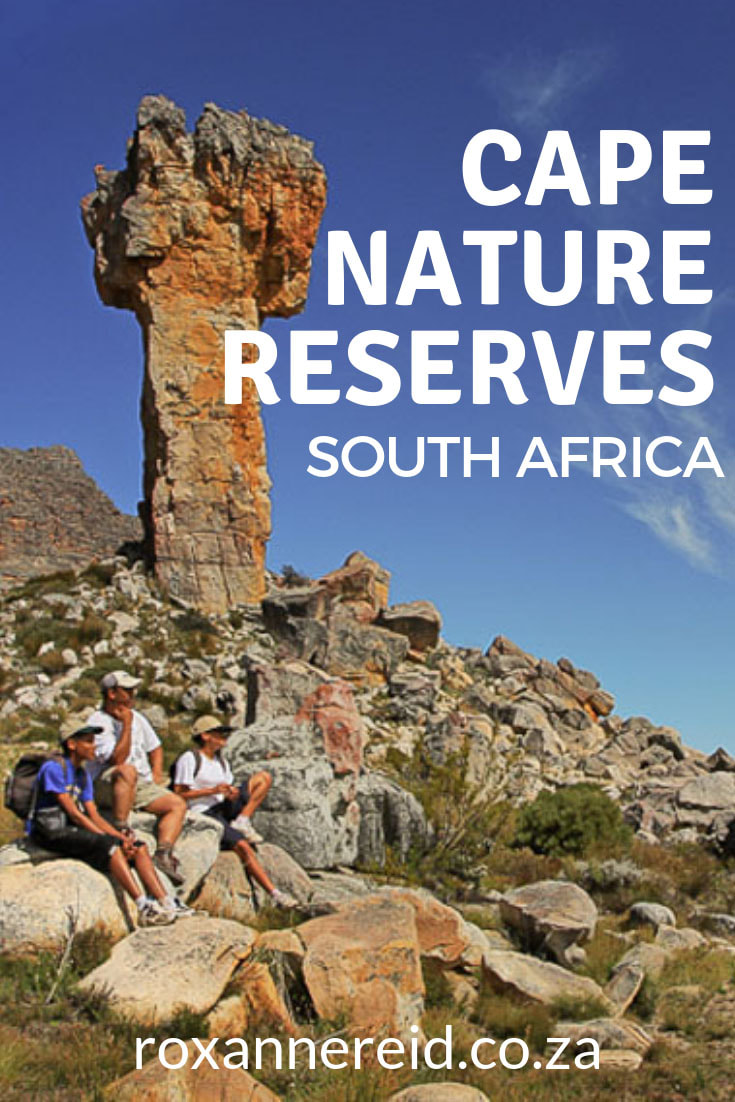 Find out about Cape Nature reserves, Cape Nature accommodation and things to do in some of the best reserves in the Western Cape, South Africa. With strong conservation and ecotourism principles, they include Cederberg Nature Reserve, De Hoop Nature Reserve, Matjiesrivier Nature Reserve, Gamkaberg Nature Reserve, Goukamma Nature Reserve, Kogelberg Nature Reserve, Rocherpan Nature Reserve, Swartberg nature Reserve or Gamkaskloof and Anysberg Nature Reserve. #CapeNature #nature